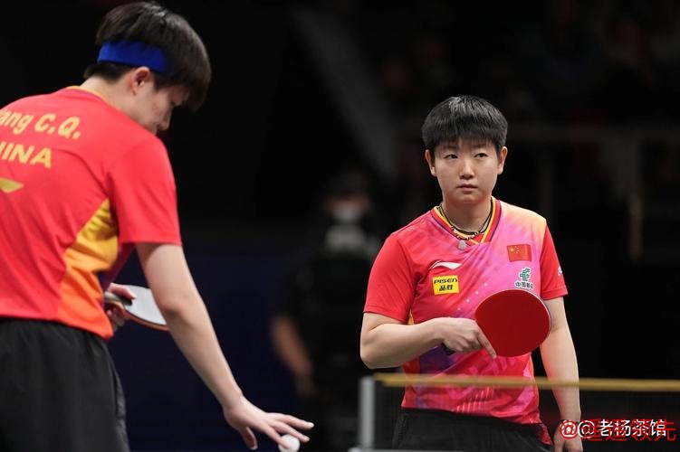 混团世界杯国乒8-2日本取7连胜 莎头连续两天出战