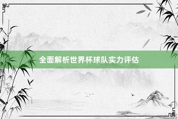 全面解析世界杯球队实力评估