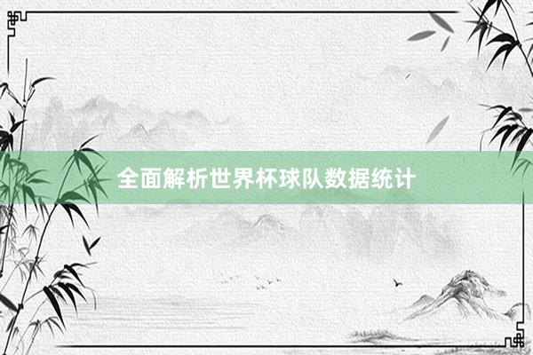 全面解析世界杯球队数据统计